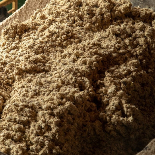 Processing Bamboo into Pulp